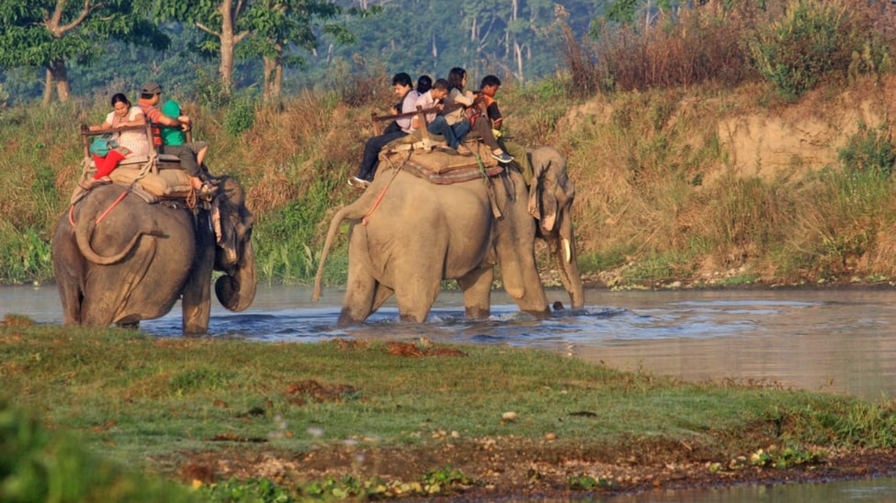 Jungle_Safari_Chitwan.JPG