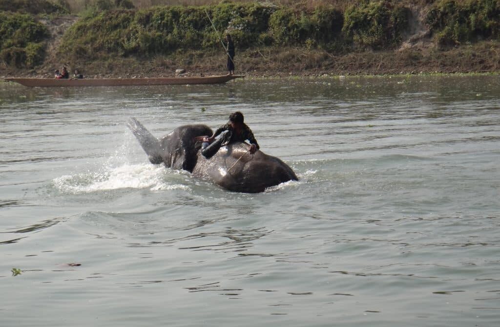 Chitwan National Park