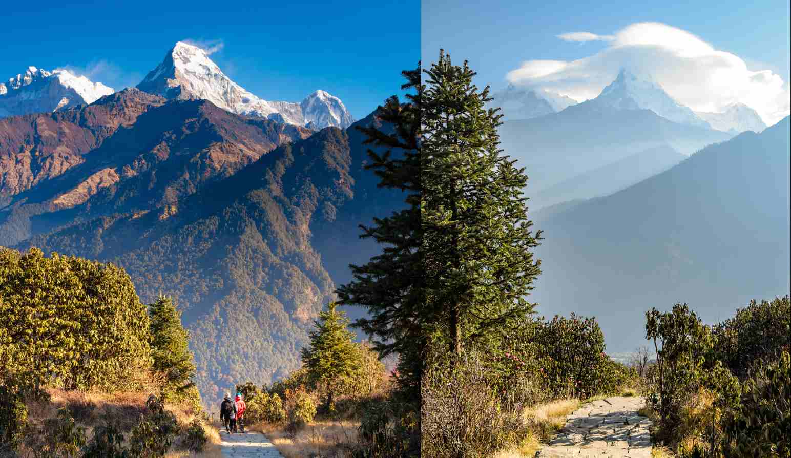 Ghore Pani Poon Hill Trek